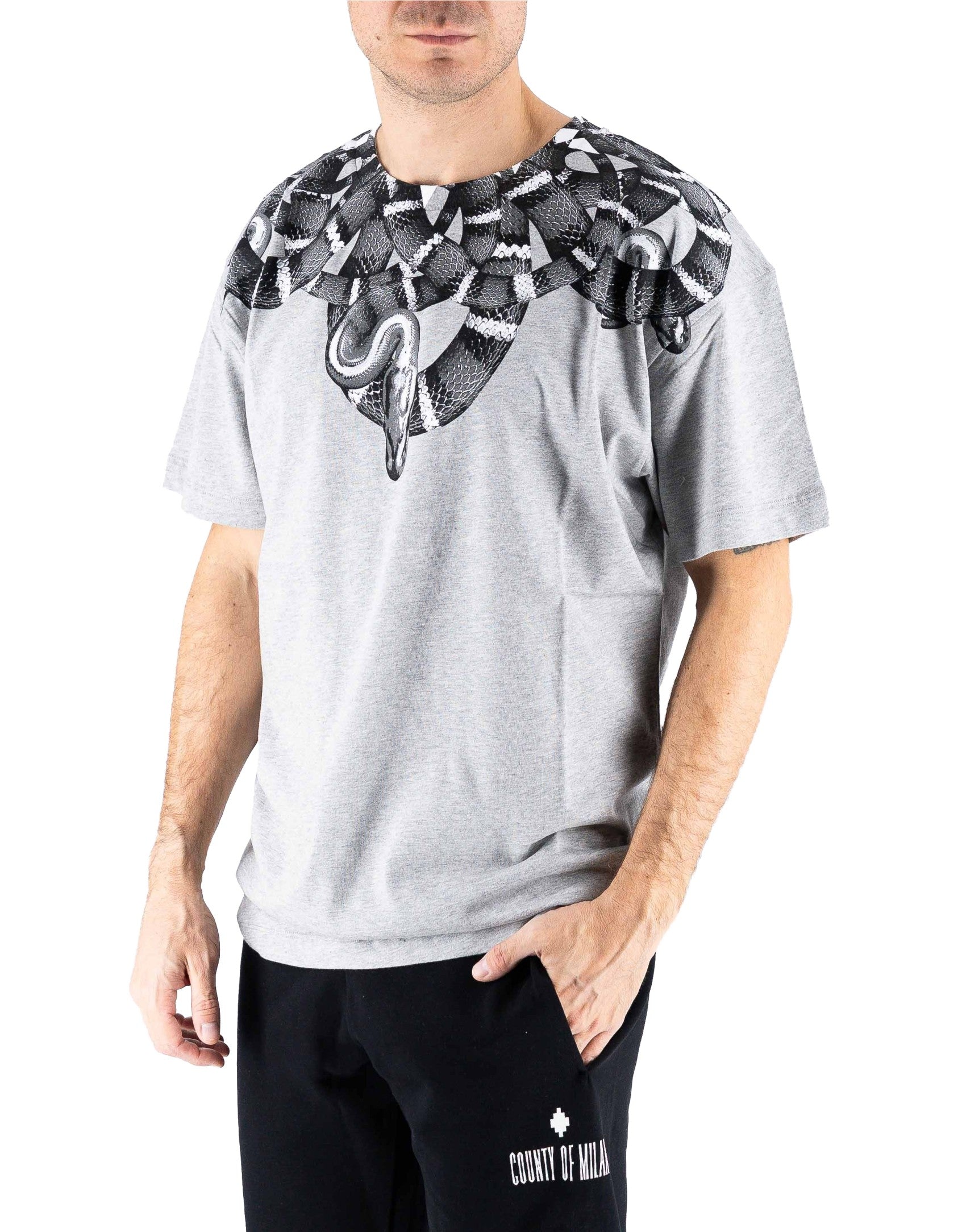 Snake Grey T-shirt