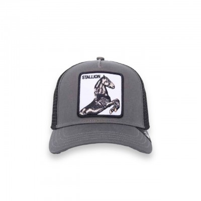 Cappello Da Baseball Stallion