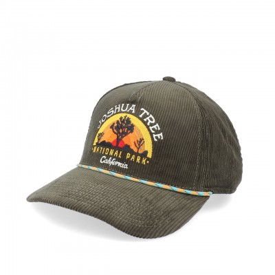 Cappello Palmer -Joshua Tree National P Olive