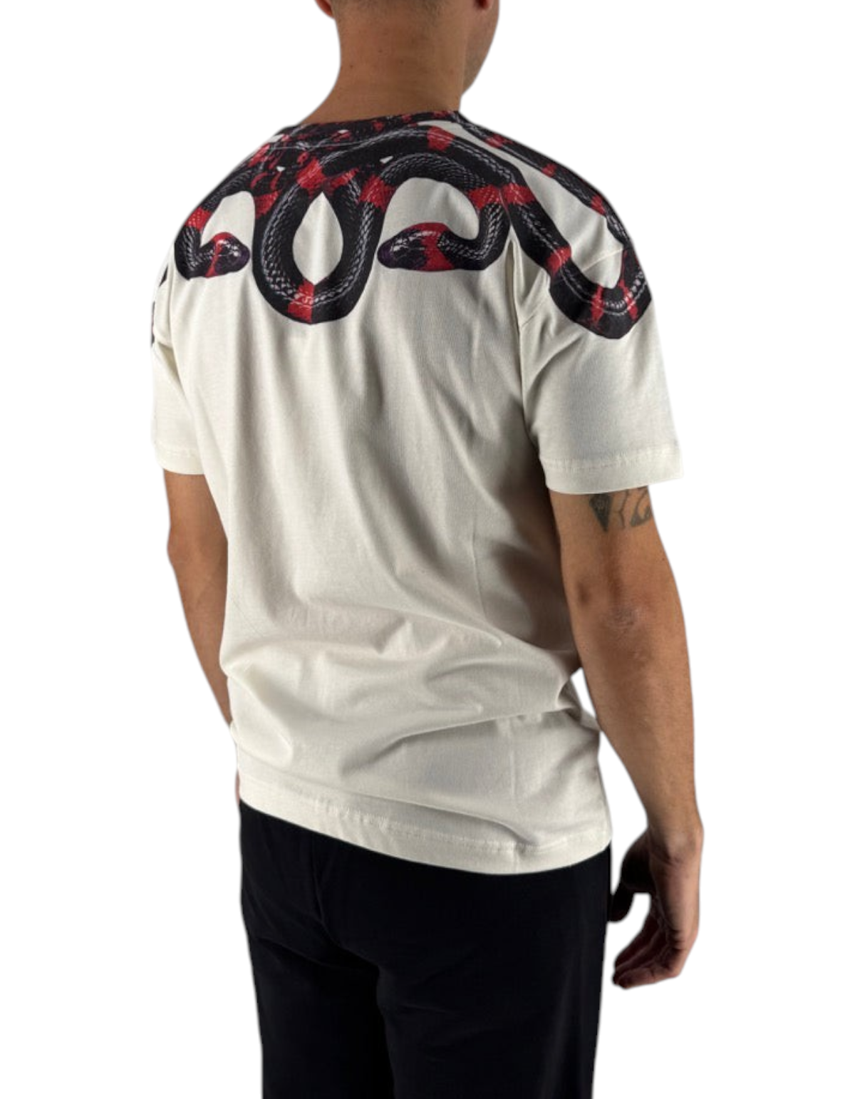 T-shirt DevidLabel Marcelo Burlon County Of Milan color cocco in cotone con stampa serpente sulle spalle vista retro