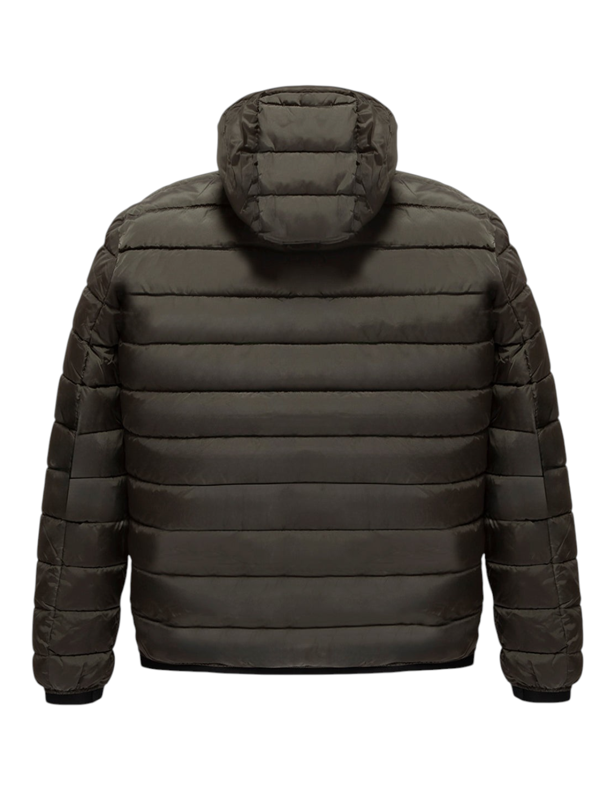 RefrigiWear Piumino Uomo Josh Sea Turtle - foto ufficiale 2