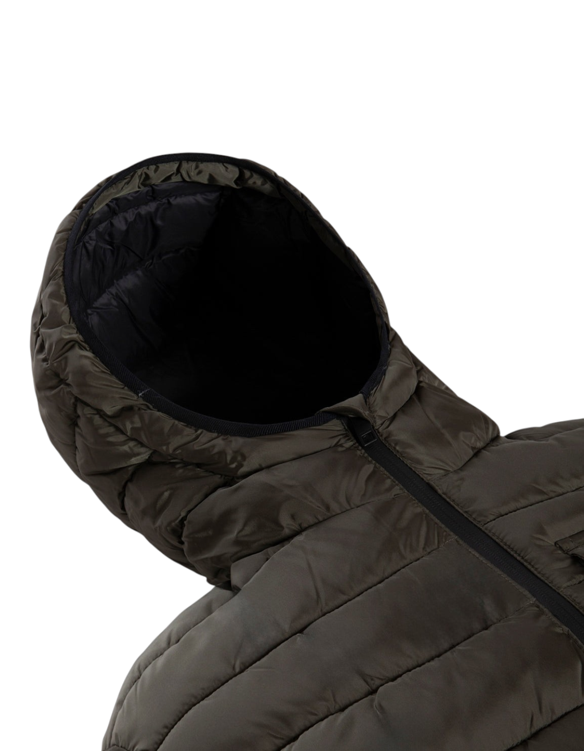 RefrigiWear Piumino Uomo Josh Sea Turtle - foto ufficiale 3