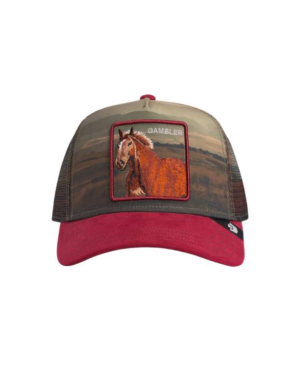 Goorin Bros. Cappellino Uomo Stallion In The Element Crush – vista principale – Master SKU GOB_101-2698-CRU_ONE