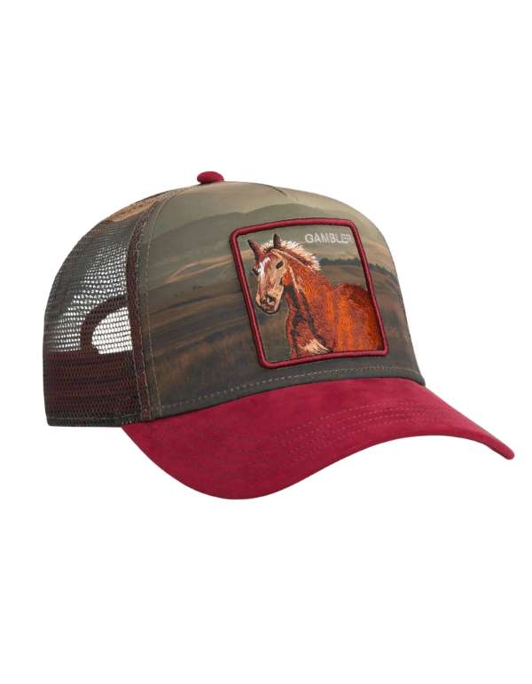 Goorin Bros. Cappellino Uomo Stallion In The Element Crush – dettaglio prodotto 10 – Master SKU GOB_101-2698-CRU_ONE