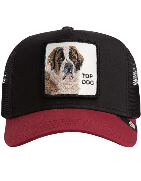 Goorin Bros. Cappellino Uomo The Top Dog Void/desire – vista principale – Master SKU GOB_101-1788-VOI_ONE