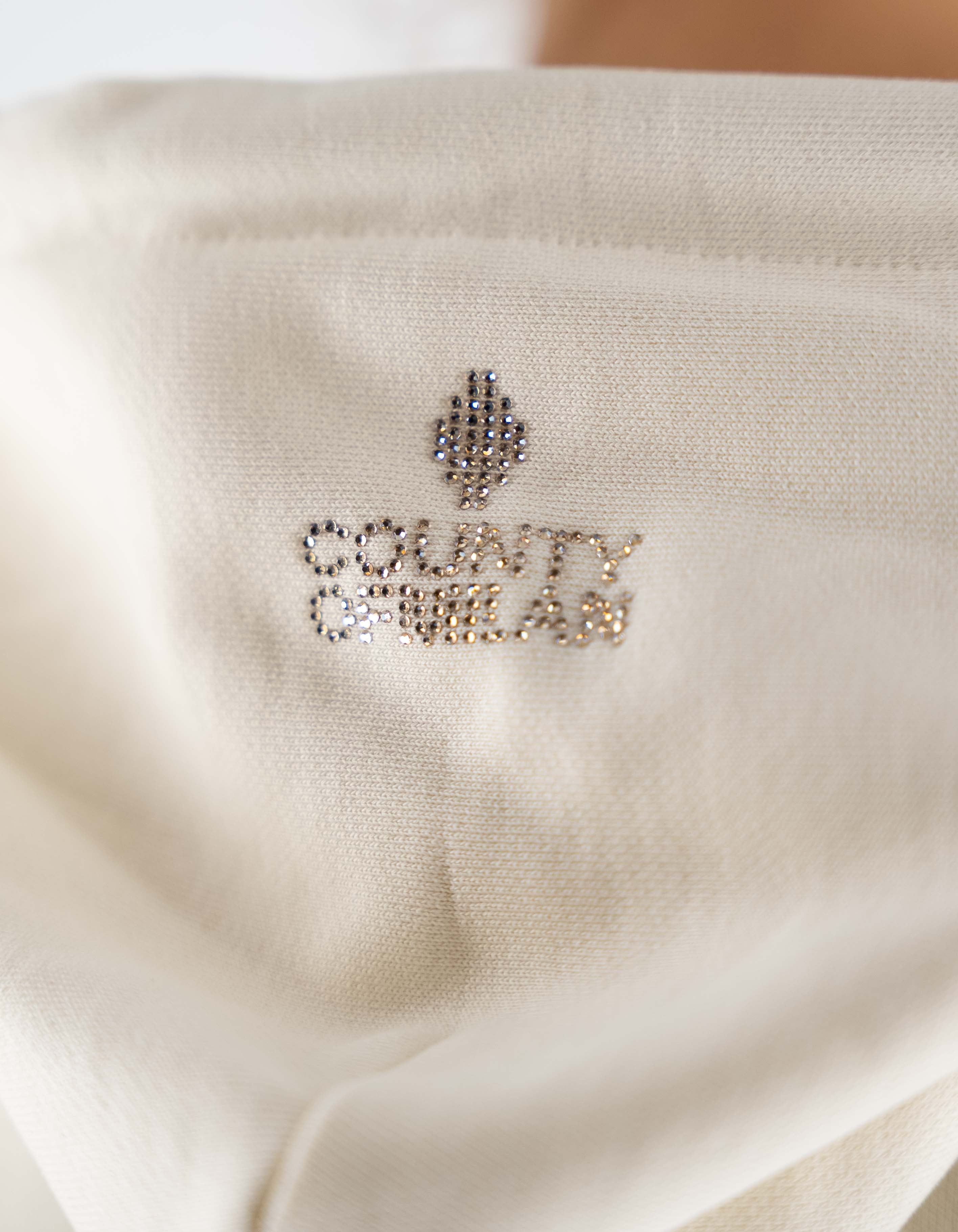 Marcelo Burlon - County Of Milan Felpa Con Cappuccio Latte Glitter – dettaglio prodotto 2 – Master SKU MBU_25ICM30028_LATTE